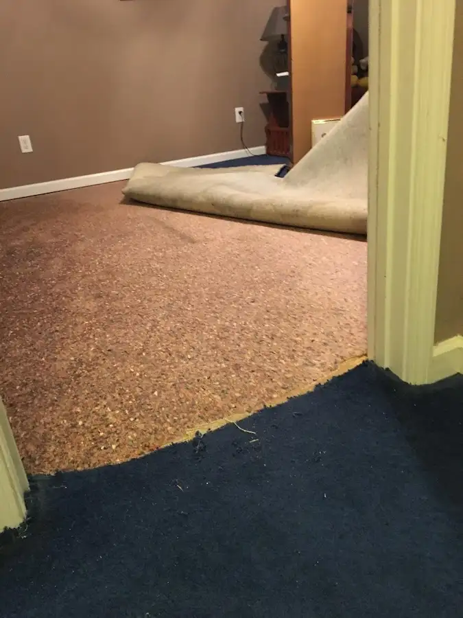 Carpet pad removal revealing water damage during Drying & Dehumidification in Egg Harbor
