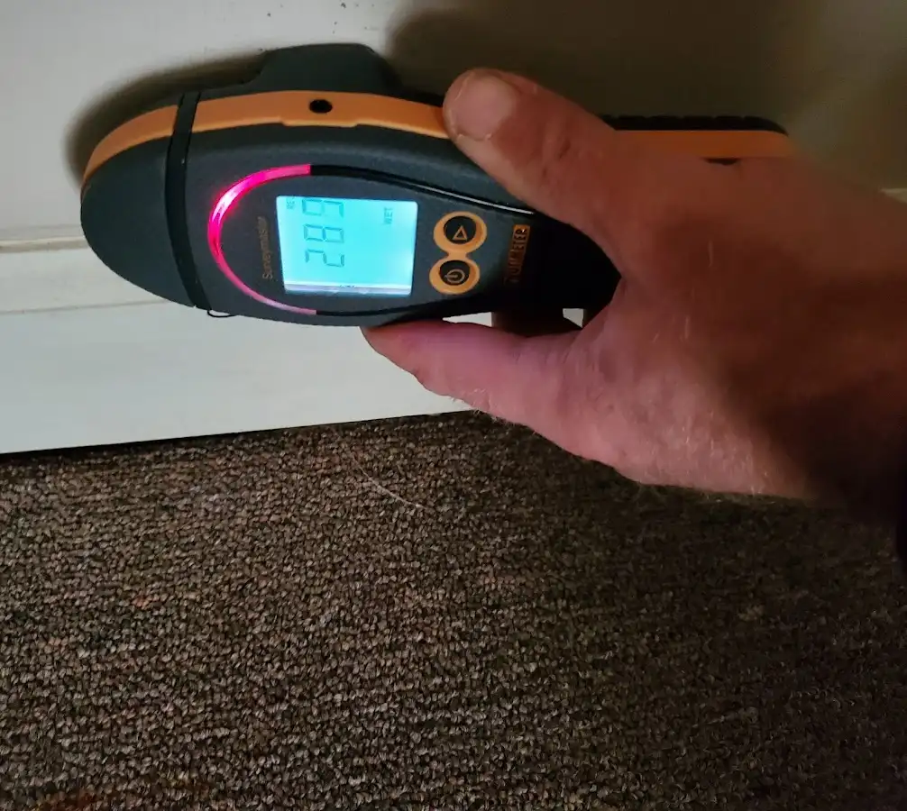 Moisture detection at baseboard during Sewage Cleanup & Sanitation in Egg Harbor